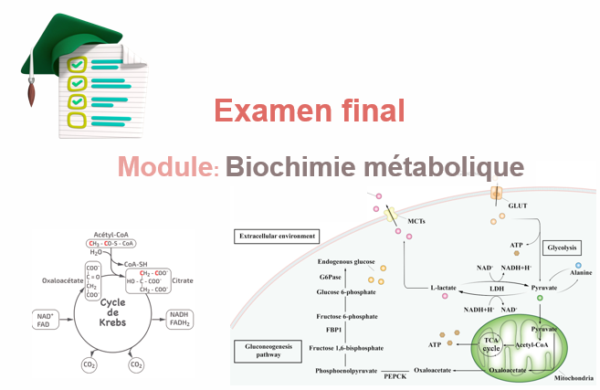 Examen 2023
